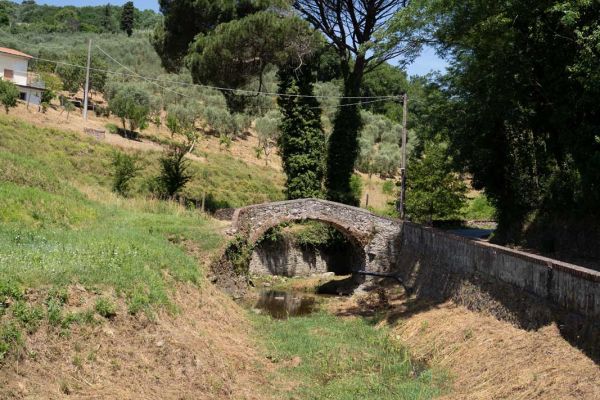 Torrent Cessana