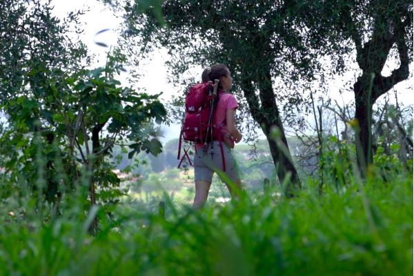 Trail n°8