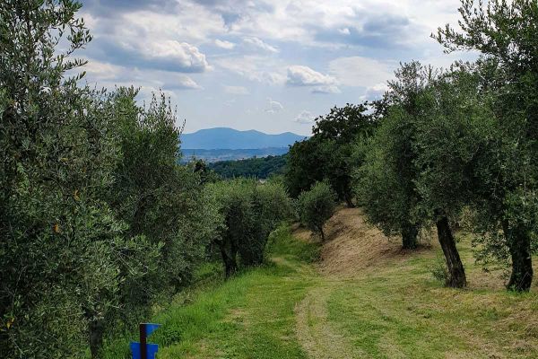 Trail n°9